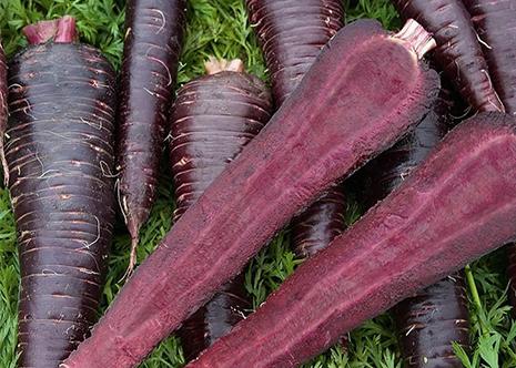 Siyah Havuç Coğrafi İşaret Tescili